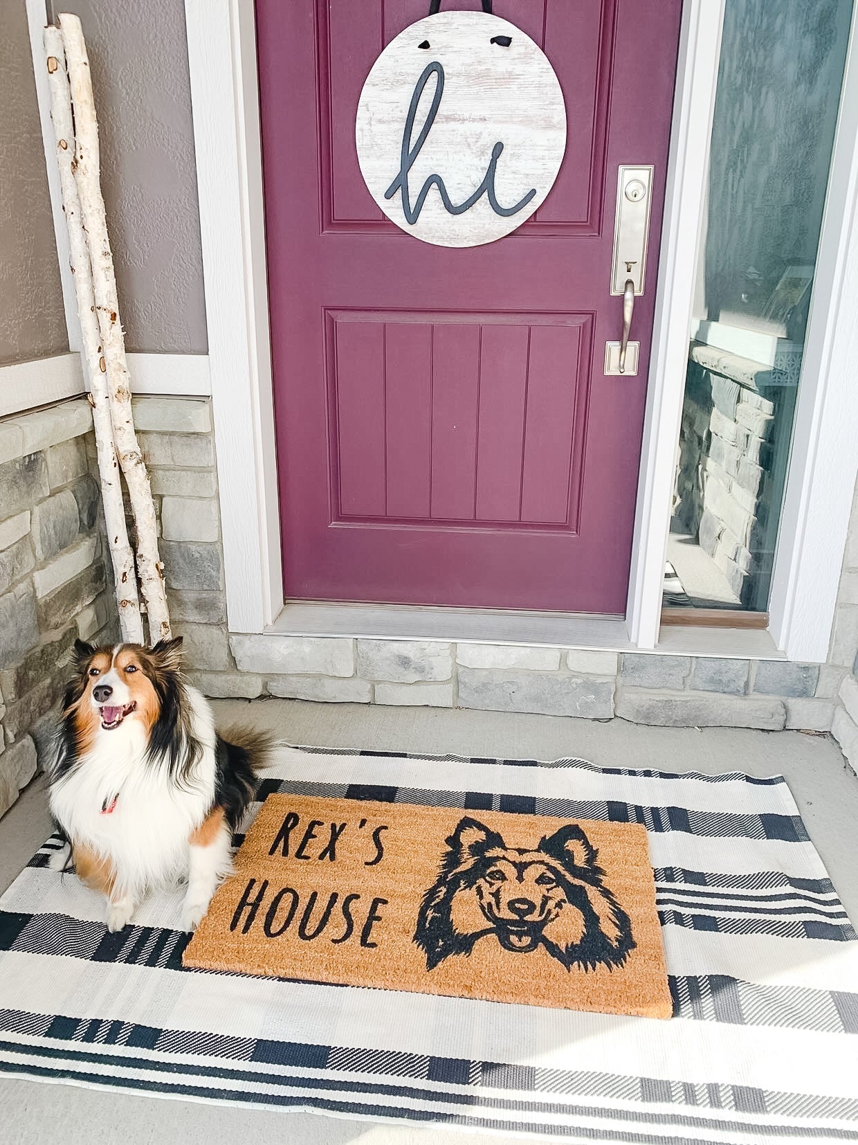 Custom Dog's House - Miss Molly Designs, LLC